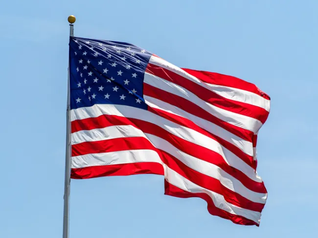 flag day